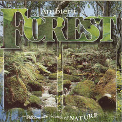 Ambient Forest